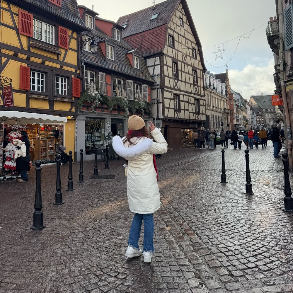 Aritzia TNA Winter Coat - Summit Parka - Picture 8 of 9